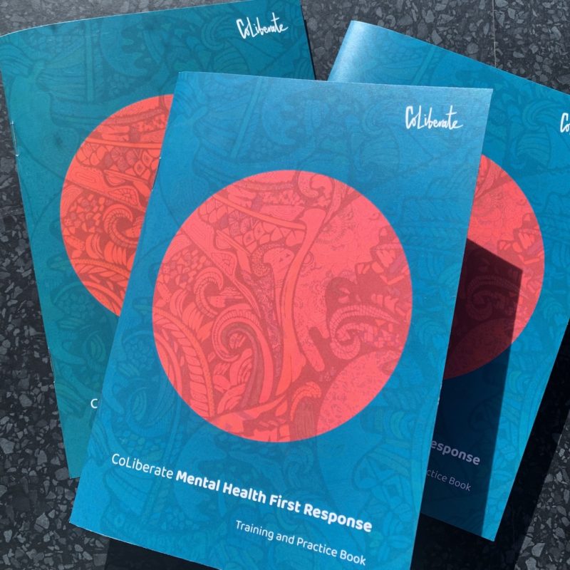 three booklets from a training course